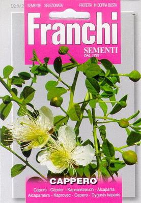 Kappertjes, Cappero 20/2 - Franchi