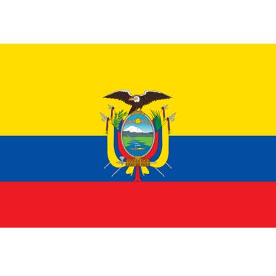 Vlag Ecuador 90 x 150 cm feestartikelen