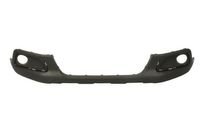 Bumper 5510000082901P