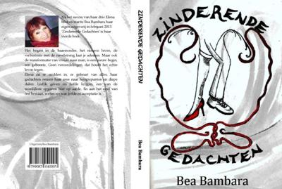 Zinderende gedachten (Paperback)