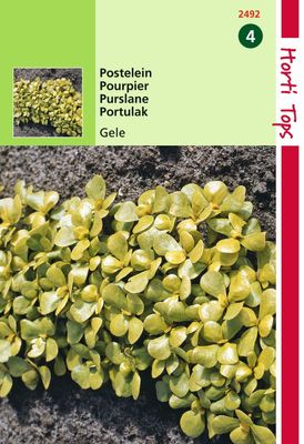 Postelein Breedbladige Gele - Hortitops