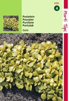 Postelein Breedbladige Gele - Hortitops Postelein Breedbladige Gele - Hortitops
