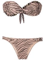 Amir Slama bikini orné de perles à motif zébré - Marron - thumbnail