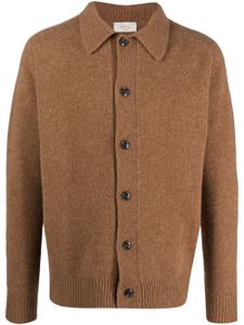 Altea cardigan en laine vierge à boutonnière - Marron