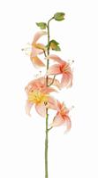Lelie h64 cm roze kunstbloem zijde nepbloem - Driesprong collection