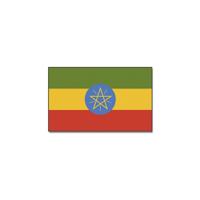 Vlag Ethiopie van 90 x 150 cm - feestartikelen - Landen thema supporters