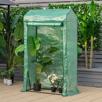 Tuinkas 100 x 50 x 170 cm Inloop Tuinkas Groen
