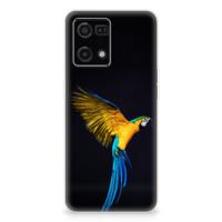 OPPO Reno7 4G | TPU Hoesje | Papegaai