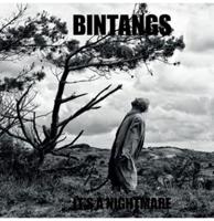 Bintangs - It&apos;s A Nightmare LP Nederpop
