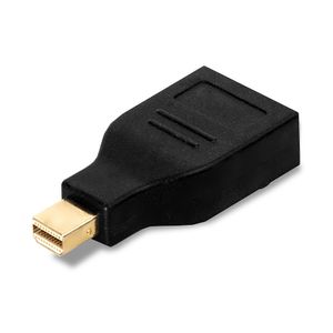 LINDY 41077 Mini-displayport / DisplayPort Adapter [1x Mini-DisplayPort stekker - 1x DisplayPort bus] Zwart