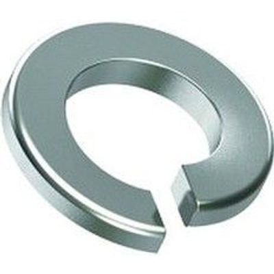 Veerring M10 Rvs (P100)