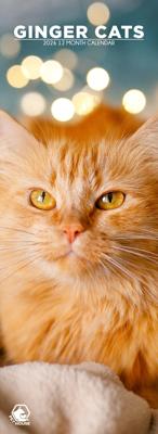 Rode Katten Slimline Kalender 2026