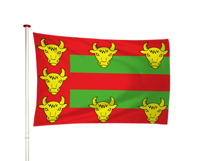 Vlag Eext