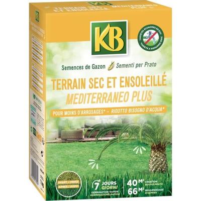 KB - Graszaden - Droog en zonnig land 40m²