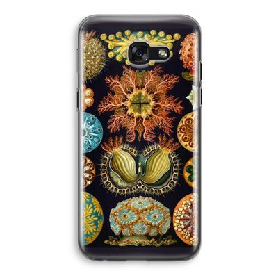 Haeckel Ascidiae: Samsung Galaxy A5 (2017) Transparant Hoesje