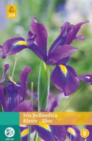 Iris Hollandica Blauw Bloembol JUB 25 bollen - Jub