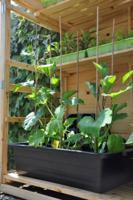 3 stuks! Maxi Container 40 L - Slim kweken