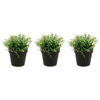 Kunstplant eucalyptus - Set van 3x stuks - groen - in zwart potje - 20 cm