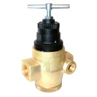 IMI NORGREN R43-406-NNLG Drukregelaar PTF 1/2 1 stuk(s)