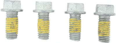 TRW Screw set 4pcs. m6x1