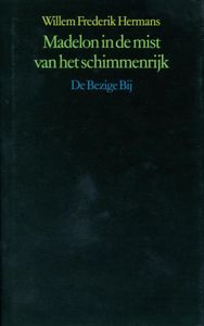 Madelon in de mist van het schimmenrijk - Willem Frederik Hermans - ebook