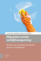 Migranten zonder verblijfsvergunning (Paperback)