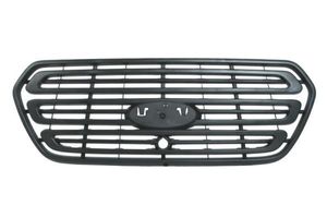 Radiateurgrille 6502072518990P