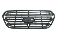 Radiateurgrille 6502072518990P