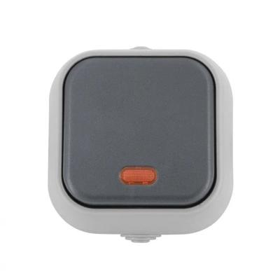 Buitenschakelaar zilver met lampje waterdicht IP54