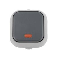 Buitenschakelaar zilver met lampje waterdicht IP54