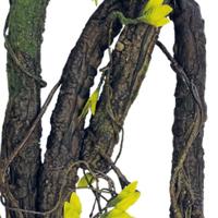 Repto Aquadistri plant climbing 190 cm - Aquadistri