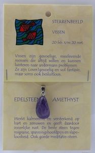 Sterrenbeeldsteen hanger vissen