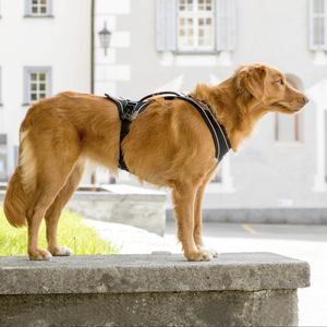 Curli Magnetic Belka Comfort Harness L Zwart Hond Vestharnas