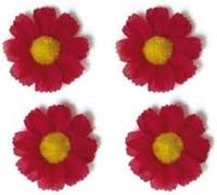 Basil flower 4 magrietjes rood 50188
