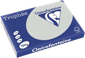 Clairefontaine Trophée Pastel, gekleurd papier, A3, 120 g, 250 vel, lichtgrijs