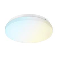 LED Plafondlamp - 36 Watt 3900lm - 3 Lichtkleuren instelbaar - Rond 45cm - Melkglas effect - Opbouw - Plafonniere - Voor binnen - Wit LED Plafondlamp - 36 Watt 3900lm - 3 Lichtkleuren instelbaar - Rond 45cm - Melkglas effect - Opbouw - Plafonniere - Voor binnen - Wit