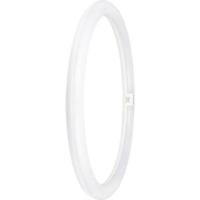 LEDVANCE LED-buis-Globe Energielabel: E (A - G) G10q 24 W Neutraalwit 1 stuk(s) (Ø x l) 400.00 mm x 400.00 mm LEDVANCE LED-buis-Globe Energielabel: E (A - G) G10q 24 W Neutraalwit 1 stuk(s) (Ø x l) 400.00 mm x 400.00 mm