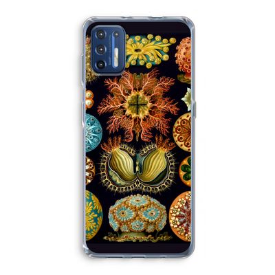 Haeckel Ascidiae: Motorola Moto G9 Plus Transparant Hoesje