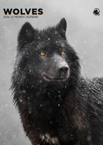 Wolven A3 Kalender 2026