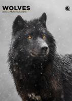 Wolven A3 Kalender 2026