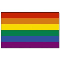 Regenboog vlag 90 x 150 cm - thumbnail