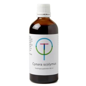 TW Cynara scolymus artisjok
