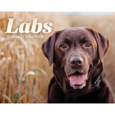 Labrador Retriever Scheurkalender 2026 Boxed