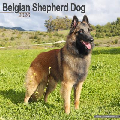 Belgische Herder Kalender 2026