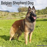 Belgische Herder Kalender 2026