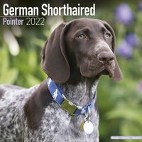 Kalender 2025 Duitse staande hond