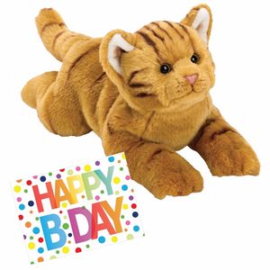 Pluche knuffel rode kat/poes 33 met A5-size Happy Birthday wenskaart