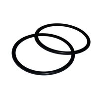 Sealife SL98303 O-Ring Set voor Sea Dragon Lights