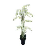 Phalaenopsis Orchidee in pot 140 cm Wit kunstplant Buitengewoon de Boet - Buitengewoon de boet