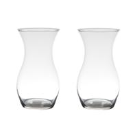 Vaas - 2x stuks - home basics - glas - D14 x H25 cm - bloemenvaas - transparant